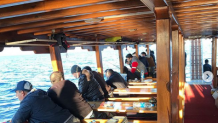 Balık Tutma Tur Saatleri